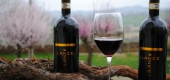 Il Conte di Lanze