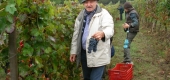 Vendemmiangiando 2012 - Grappoli e nuvole